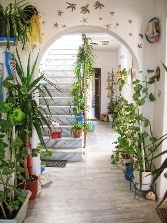 Augusta Studios & Apartments Naousa  Ngoại thất bức ảnh
